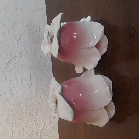 Franz Porcelain Camellia Salt & Pepper Shakers, Beautiful! 🌹🌹 - Picture 4 of 4